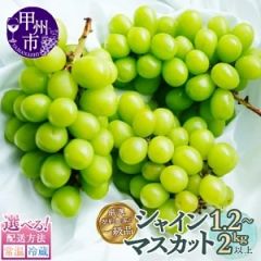至福の山梨県産 シャインマスカット 約1.2kg 2～3房写真1