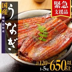 おおさきうなぎ 長蒲焼 ３尾セット写真1